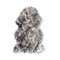 Homeroots 2 x 2 x 3 in. New Zealand Single Sheepskin Rug Gradient Grey 293186 - alternate 1
